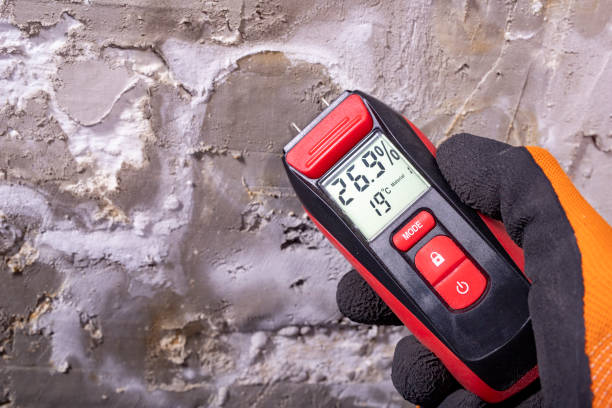 Arnold, CA Mold Removal Company